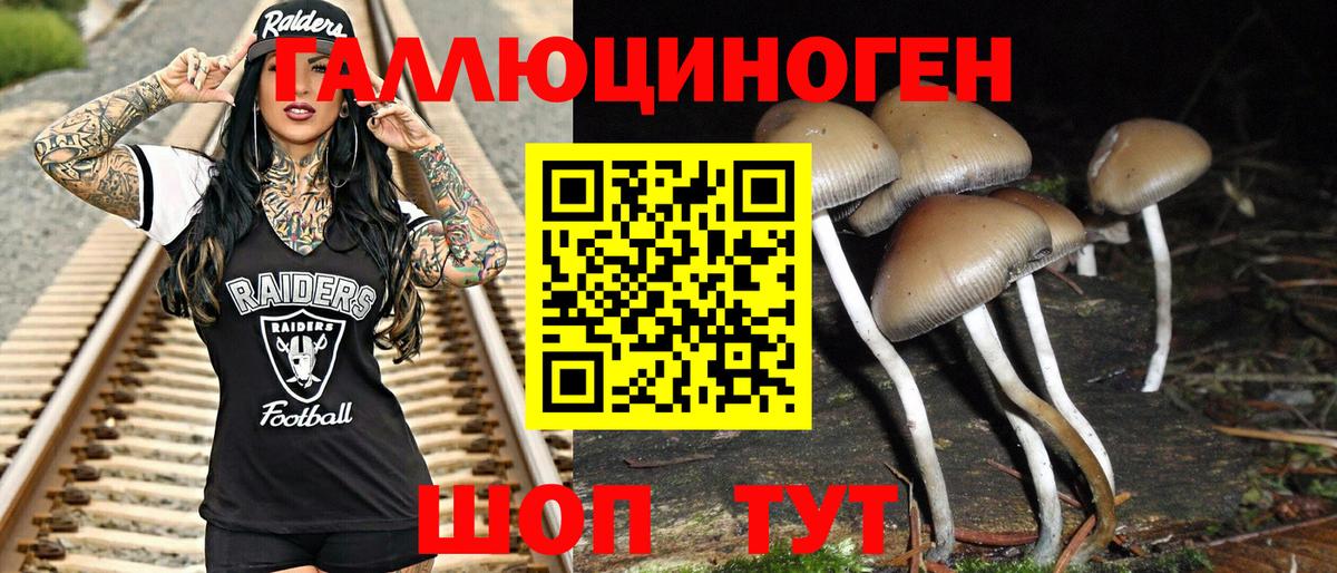 Галлюциногенные грибы мицелий  Псилоцибиновые грибы Magic Shrooms  Вход с VPN  Кисловодск 