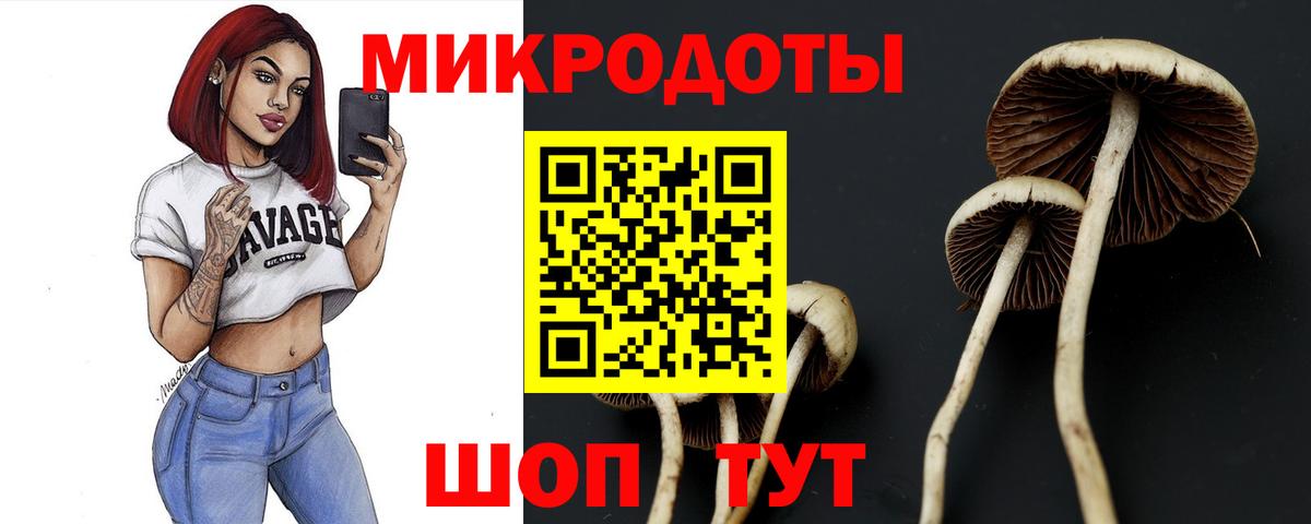 Галлюциногенные грибы ЛСД Кисловодск